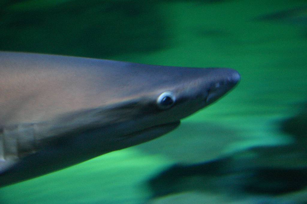 IMG_7628 